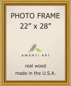 Amanti Art Townhouse Gold 22 X 28 Opening Wall Picture Photo Frame