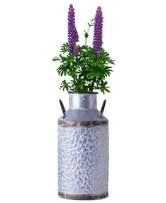 Vintiquewise Rustic Farmhouse Style Galvanized Metal Milk Can Decoration Planter And Vase, Large 1 Vintiquewise Rustic Farmhouse Style Galvanized Metal Milk Can Decoration Planter And Vase, Large