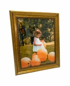 Modern Memory Design Vintage-Look Picture Frame, 12 X 16