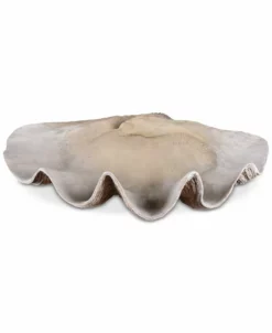Uttermost Clam Shell Bowl